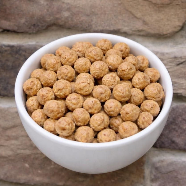 White bowl filled with dog food on a stone wall background